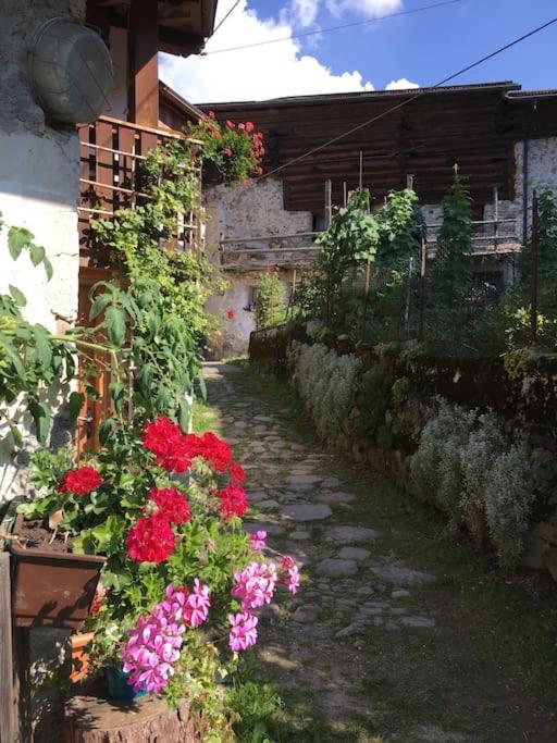 Casa Bernard Zortea Vanoi Cuore Verde Del Trentino Канале-Сан-Бово Экстерьер фото